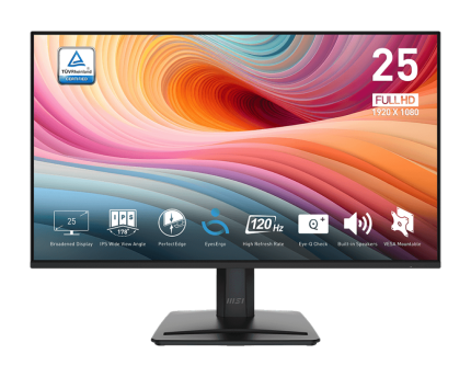MSI PRO MP251 E2 Monitors
